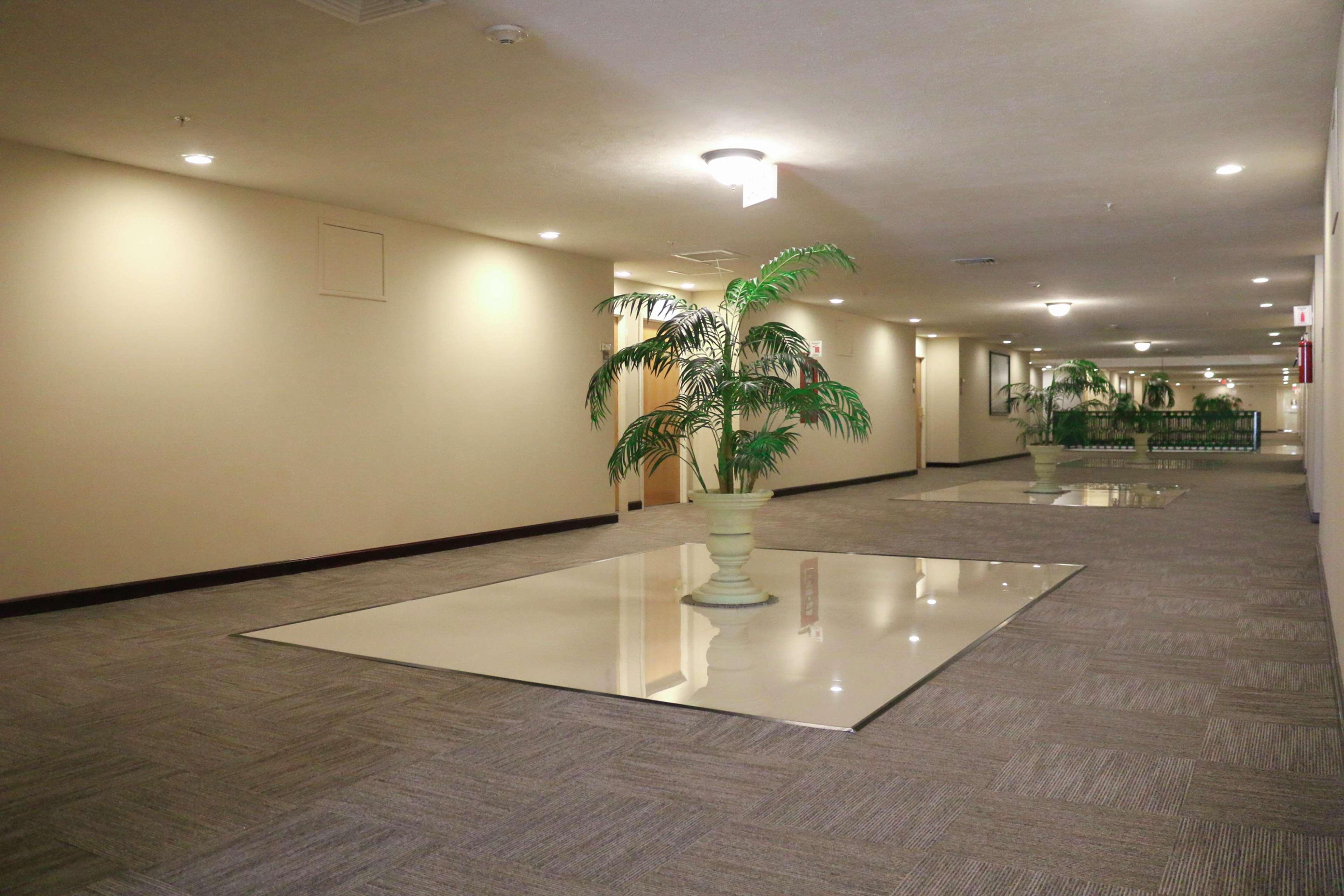 Hampton Inn Tampico Zona Dorada Exterior photo